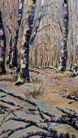 Birkenwald