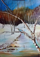 Birken im Winter