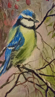 Blaumeise