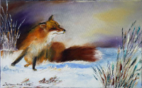 Fuchs im Winter